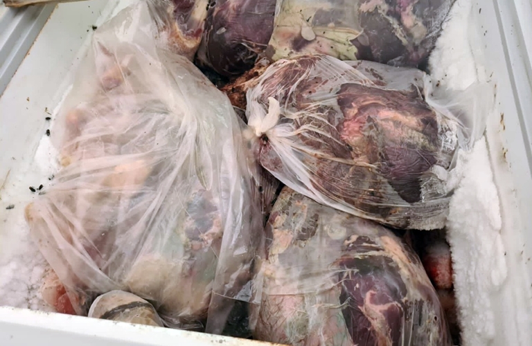 805a203e-4dde-4283-b96c-587b713aa4e7