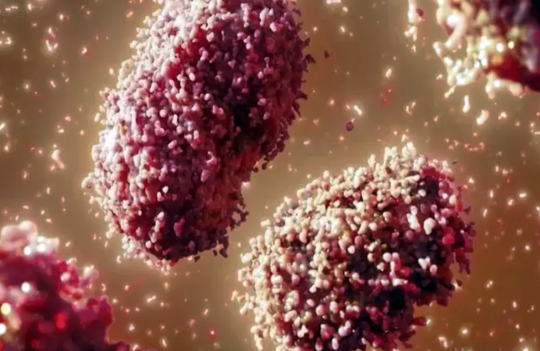 bahianoticiasextremosul