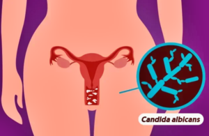 bahianoticiasextremosul