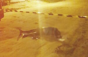 bahianoticiasextremosul