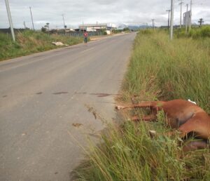 7842bcb1-87fd-43e6-a0ba-7507edce0720